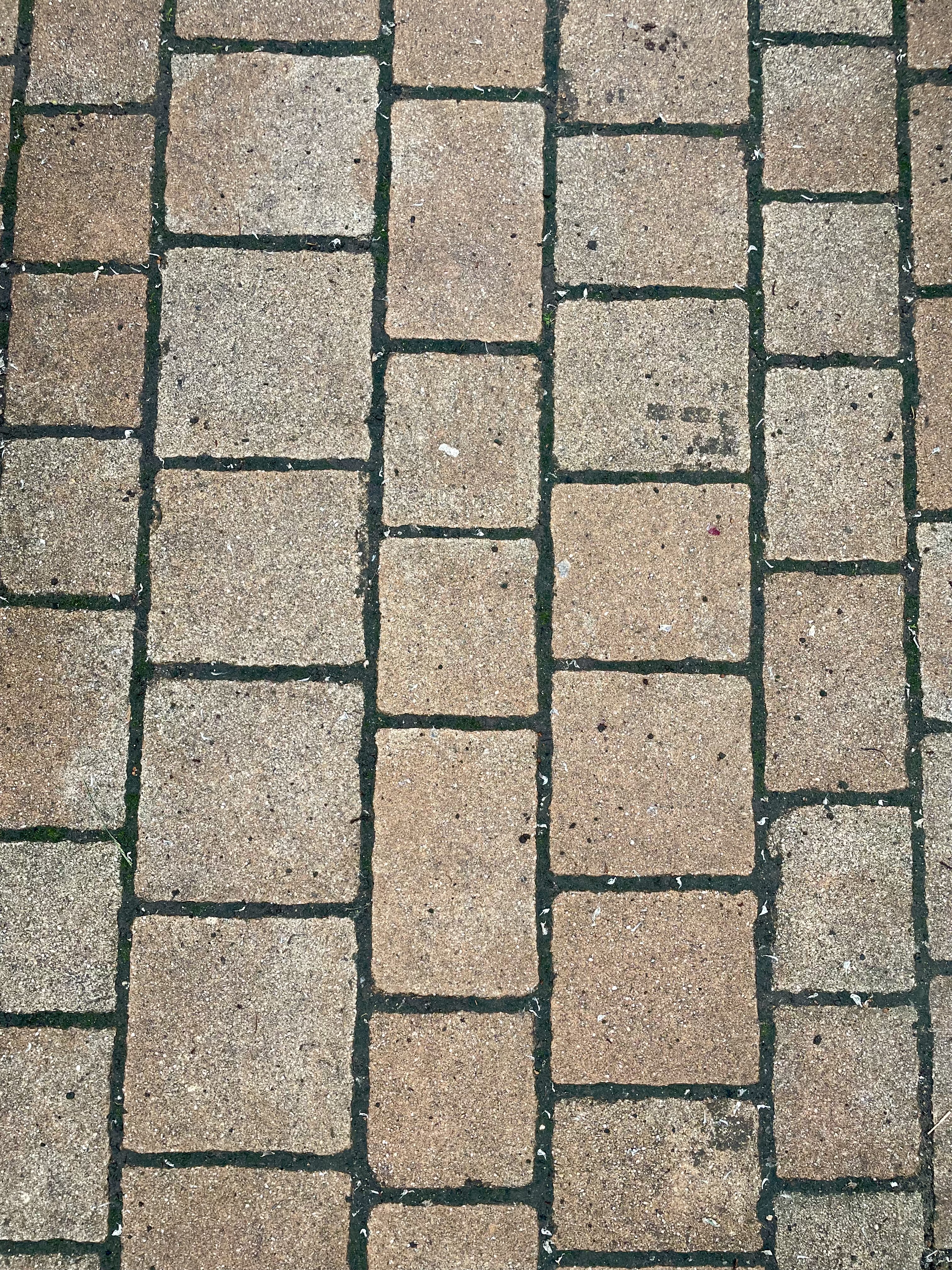 text