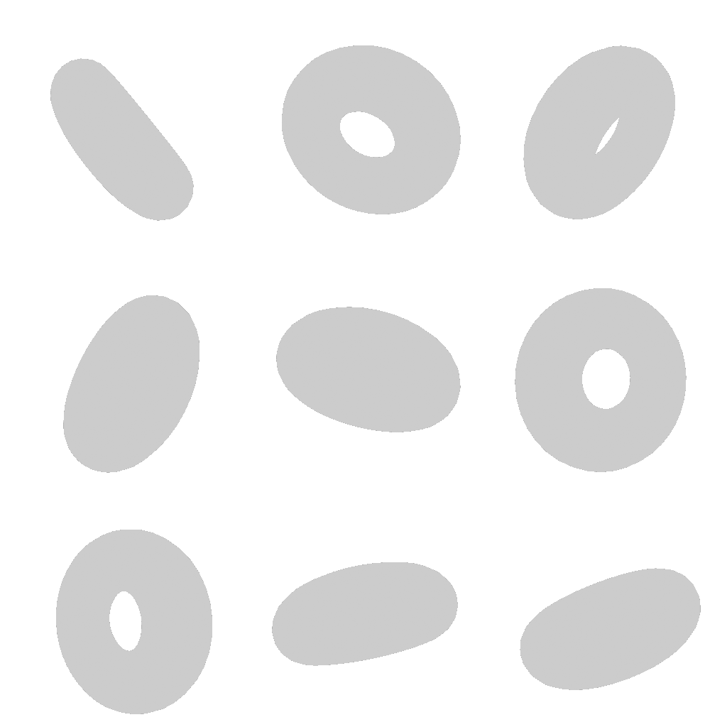 Formenvielfalt: Torus